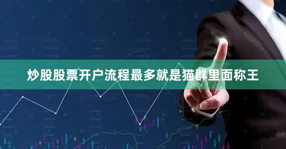 炒股股票开户流程最多就是猫群里面称王