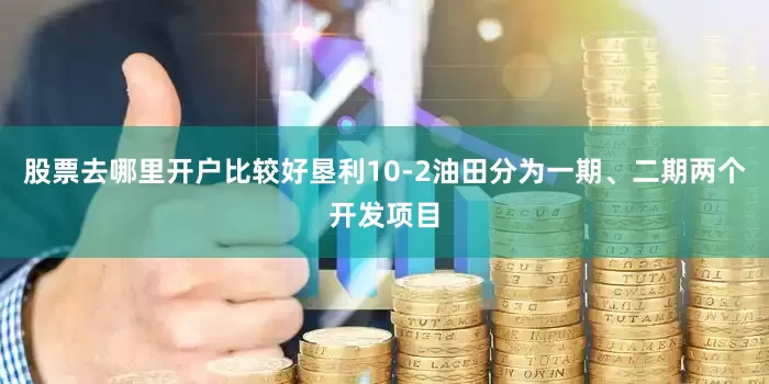 股票去哪里开户比较好垦利10-2油田分为一期、二期两个开发项目
