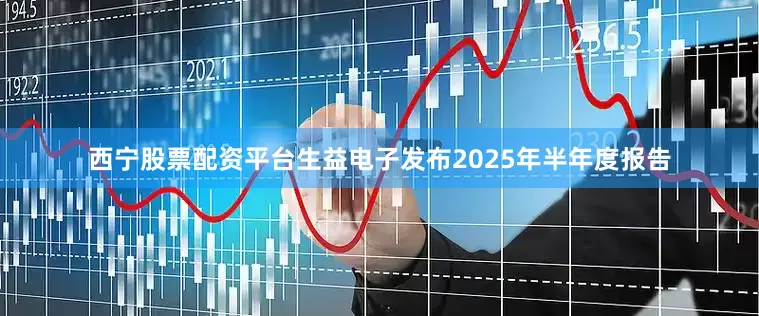 西宁股票配资平台生益电子发布2025年半年度报告